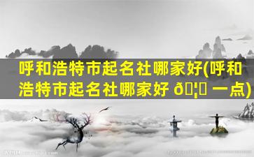 呼和浩特市起名社哪家好(呼和浩特市起名社哪家好 🦟 一点)